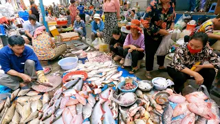 Wow ! Plenty of Fresh Meat & Fish - Amazing Food Market Scenes