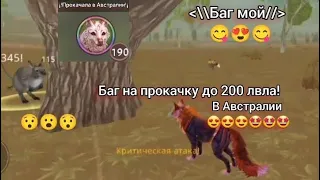 💫 Мой Новый Баг на прокачку в Новой Локации!💫 || придумала сама|| WildCraft