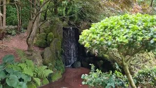 Japonská zahrada / Japanese Garden / Ogród Japoński - Jarków Polsko - 4K
