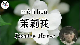 Famous Chinese Folk Song - 茉莉花 mò lì huā - Jasmine Flower