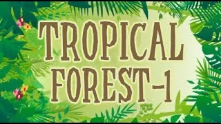 Types of Forests for Kids | Tropical Forest | Animation Learning Videos for Children