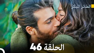 مسلسل الطائر المبكر الحلقة 46 (Arabic Dubbed)