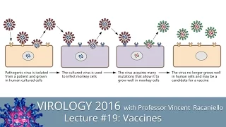 Virology Lectures 2016 #19: Vaccines