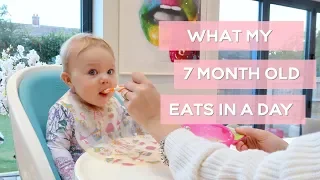 WHAT MY 7MONTH OLD EATS IN A DAY