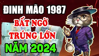 🔴 Tử Vi Tuổi Đinh Mão 1987 Năm 2024 Vượt Qua Khổ Ải, Vươn Lên Làm Giàu, Đổi Đời Đại Gia | TPTV