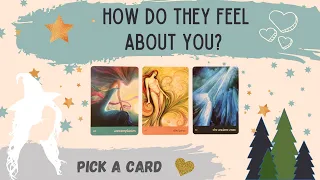 PICK A CARD: HOW DO THEY FEEL ABOUT YOU CURRENTLY???