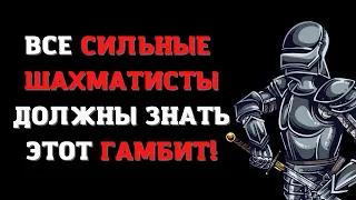 ВСЕ СИЛЬНЫЕ ШАХМАТИСТЫ ДОЛЖНЫ ЗНАТЬ ЭТОТ ГАМБИТ | ГАМБИТ СТАФФОРДА | ШАХМАТНЫЕ ЛОВУШКИ | ШАХМАТЫ