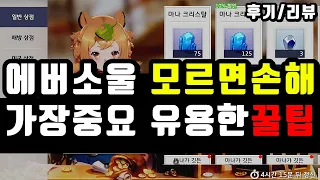 [에버소울] 효율적 무소과금 스펙업 꿀팁 모든 것 (승급,상점이용,유물,예장) + 후기리뷰