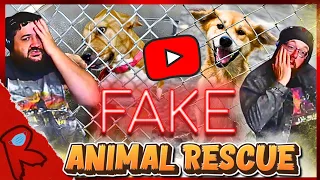 YouTube's Fake Animal Rescue Channels - @NickCrowley | RENEGADES REACT