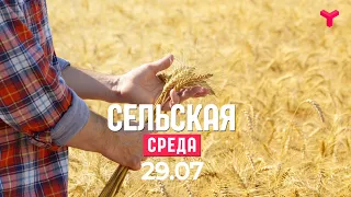 Сельская среда 29 07 2020