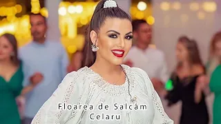 👉 Loredana Sotea🔷️Sarbatoarea campeneasca "Floarea de Salcâm" Celaru 🔷️Muzica de petrecere