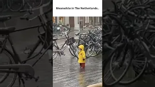 Meanwhile in The Netherlands...