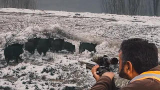 AWESOME WILD BOAR HUNT IN WINTER - KARDA EFSANE DOMUZ AVI MACERASI