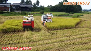 2021稲刈り