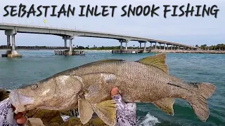 Caught So Many Huge SLOT Snooks! Fishing At Sebastian Inlet!  #forhaters