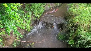 #steam #falls #watersounds