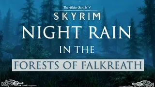 Night Rain in the Forests of Falkreath | Quiet Walk in Skyrim's Woodlands | Skyrim Music & Ambience