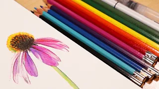 How to Use Watercolor Pencils - Flower Painting Tutorial