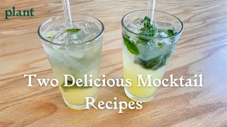 Simple & Healthy Mocktail Recipes