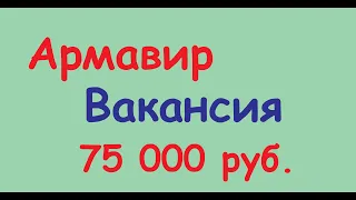 Вакансия Армавир 75000 руб официальная работа в Армавире