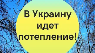 В Украину идет потепление: синоптик назвала точную дату