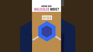 How Do Molecules Move?
