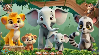 Cute Little Farm Animal Sounds: Elephant, Raccoon, Lemur, Lion, Orangutan - Animal Videos