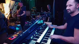 Steppenwolf - Born to be wild organ cover with full band LIVE