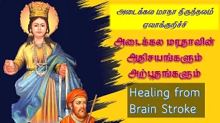 Miracle Witness -9 | Healing from Brain Stroke | Adaikala Madha Shrine| Elakurichi