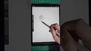 Why my apple pencil is not erasing and smudging in procreate