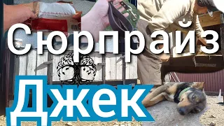 Джек в шоці від такого Сюрпризу..  Відкриваємо посилку.! Він явно не цього чекав..вівторок в дома