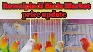 Rawalpindi #birdsmarket college road price update