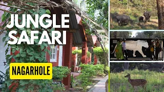 NAGARHOLE TIGER SAFARI | NEAR MYSORE | VEERANAHOSAHALLY GATE | JUNGLE INN RESORT