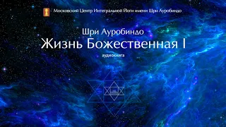 Шри Ауробиндо. Жизнь Божественная. Том 1. Глава 8 - Методы Ведантистского Знания