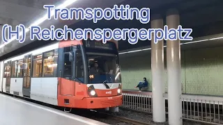 Tramspotting (H) Reichenspergerplatz