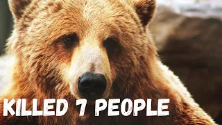 The Sankebetsu Brown Bear Incident Of 1915 | The Brown Bear Attack In Japan Where 7 Persons Died