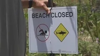 Man killed in shark attack in Western Australia