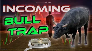 Bull Trap | Stock Market Update