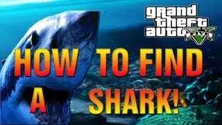 GTA 5 - How To Find A Shark And Get Out Of Your Depth Achievement Unlocked - 5G! (GTA V Gameplay)