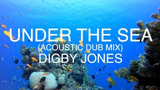 Digby Jones - Under The Sea (Acoustic Dub Mix)