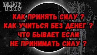 Как принять Силу | Как учиться без денег | Что бывает если не принимать Силу