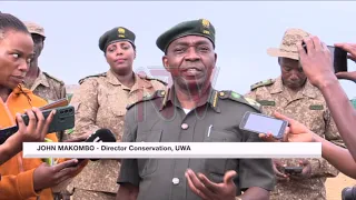 Uganda Wildlife Authority to move 200 kobs to Kidepo