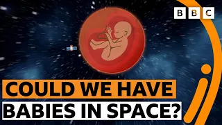 Could we have babies in space? - BBC