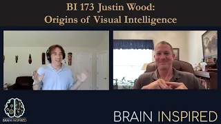 BI 173 Justin Wood: Origins of Visual Intelligence