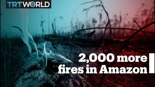 Nearly 2,000 new fires have broken out in the Amazon