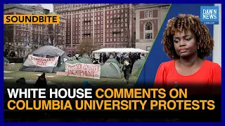 White House Comments On Columbia University Protests | Dawn News English