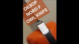 Обзор ножа North F (сучок) от OWL Knife