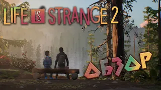 Обзор Life is Strange 2