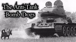 Anti-Tank B*mb Dogs