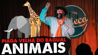 PIADA VELHA DO BAGUAL - ANIMAIS